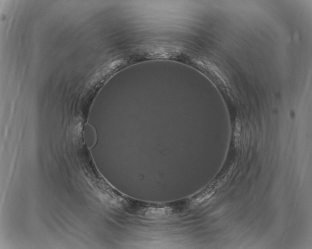 X0000086880314200704231109