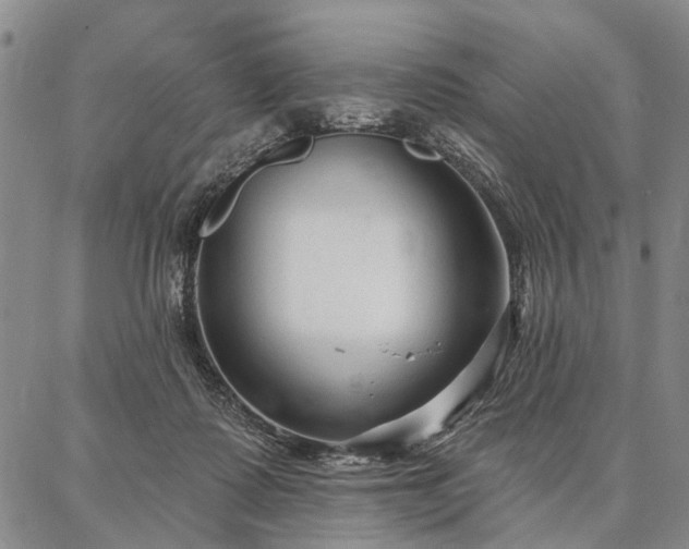 X0000086880315200704231109