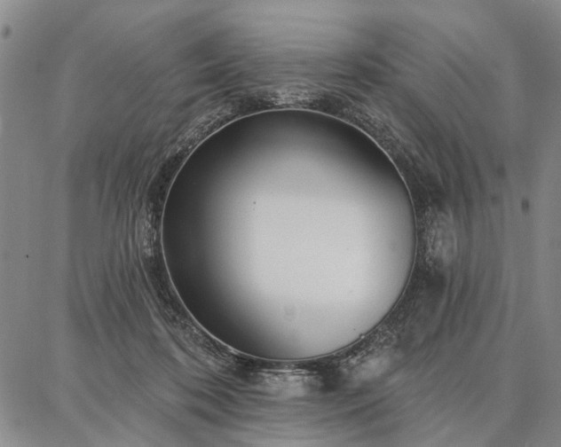 X0000086880316200704231109