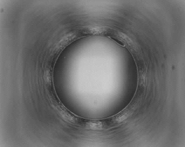 X0000086880317200704231109