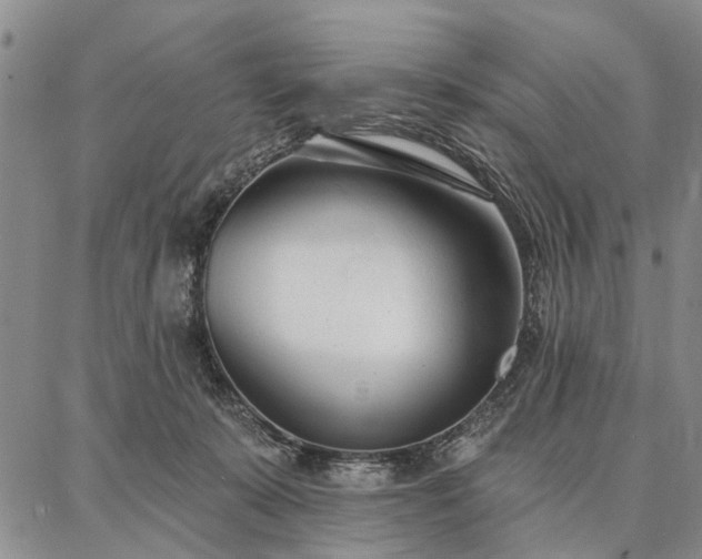 X0000086880319200704231109