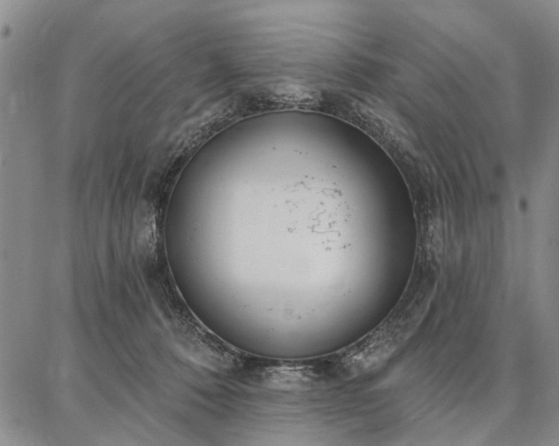 X0000086880320200704231109