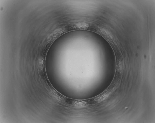 X0000086880321200704231109