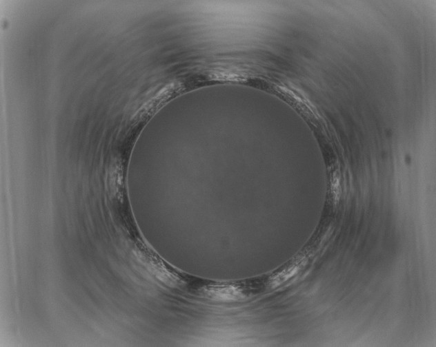 X0000086880322200704231109