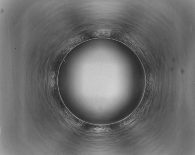 X0000086880323200704231109