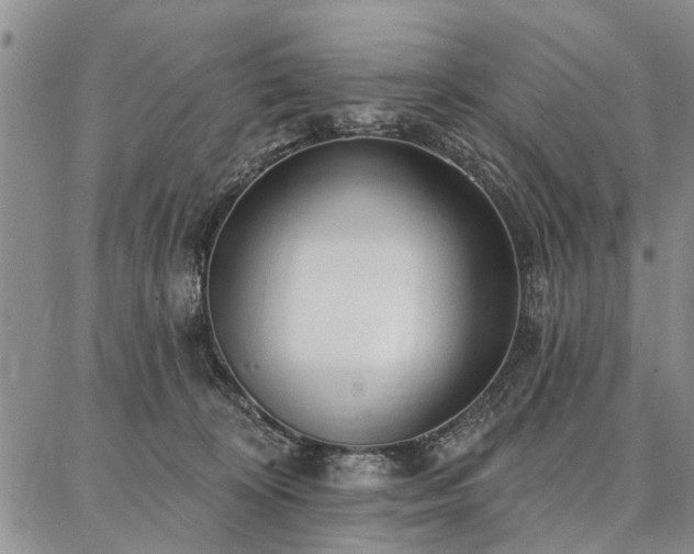 X0000086880324200704231109