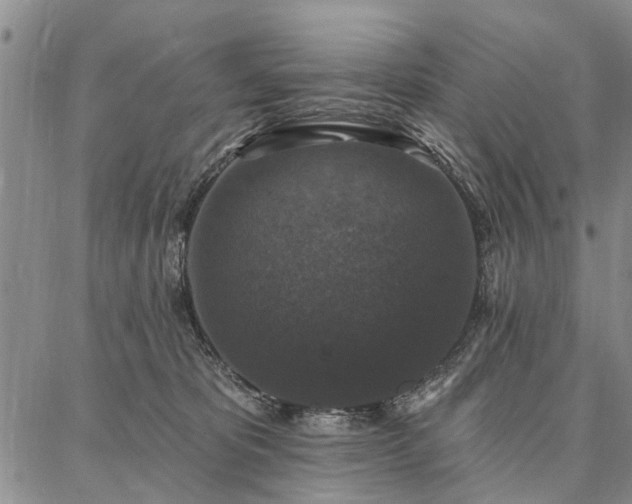 X0000086880325200704231109