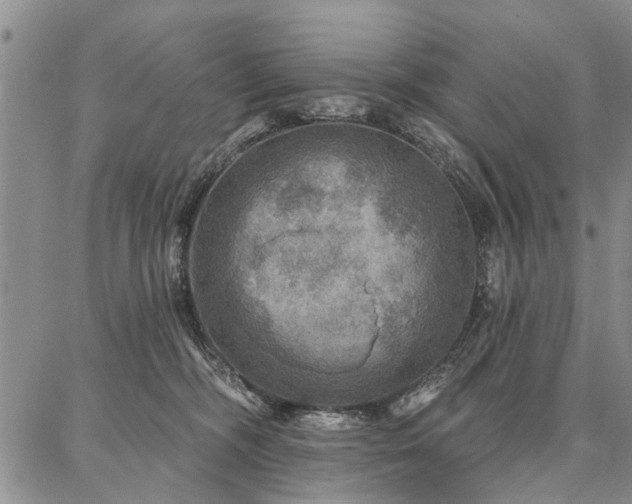 X0000086880326200704231109