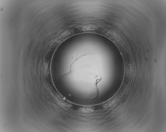 X0000086880327200704231109