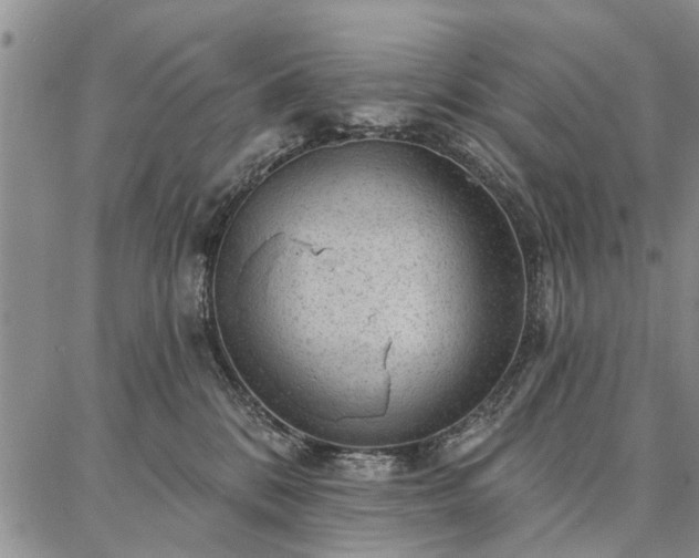 X0000086880328200704231109