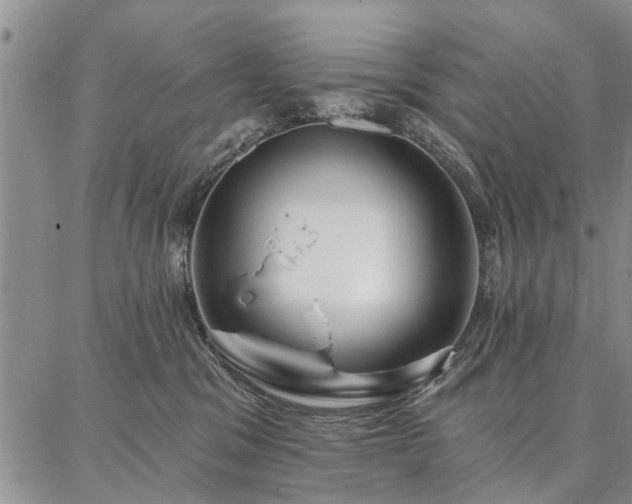 X0000086880329200704231109