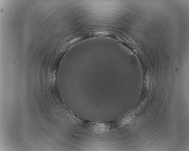 X0000086880330200704231109