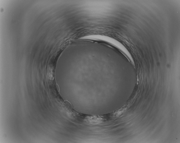 X0000086880331200704231109