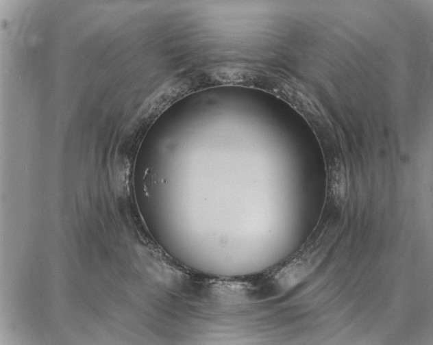 X0000086880332200704231109