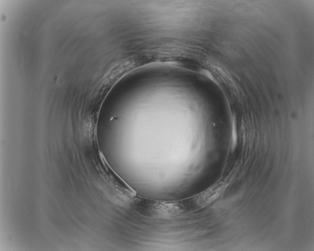 X0000086880333200704231109