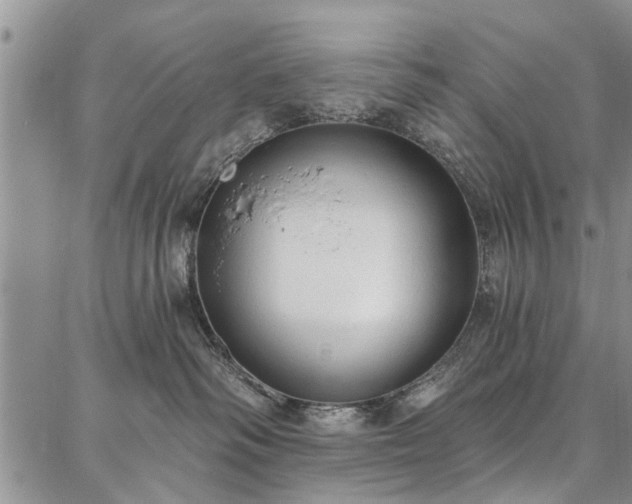 X0000086880334200704231109