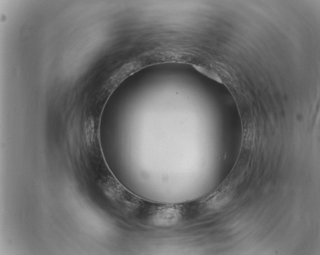 X0000086880335200704231109