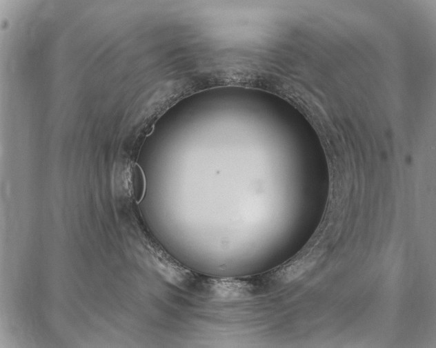 X0000086880336200704231109