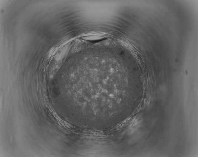 X0000086880337200704231108