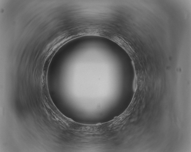 X0000086880338200704231108