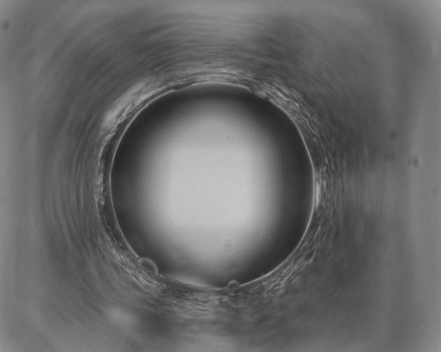 X0000086880339200704231108