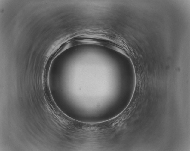 X0000086880340200704231108