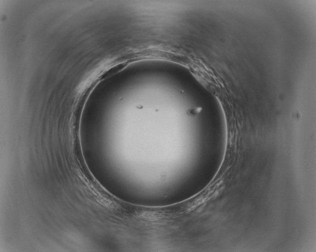 X0000086880341200704231108