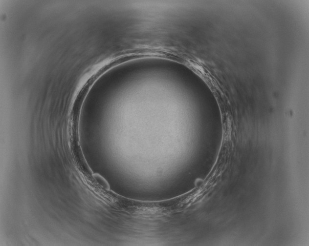 X0000086880342200704231108