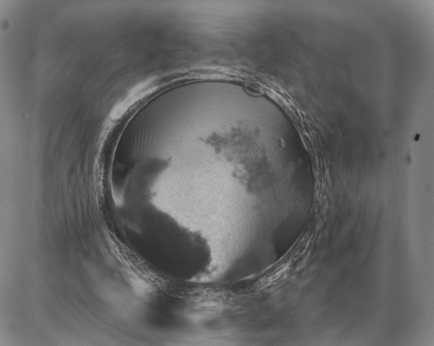 X0000086880343200704231108