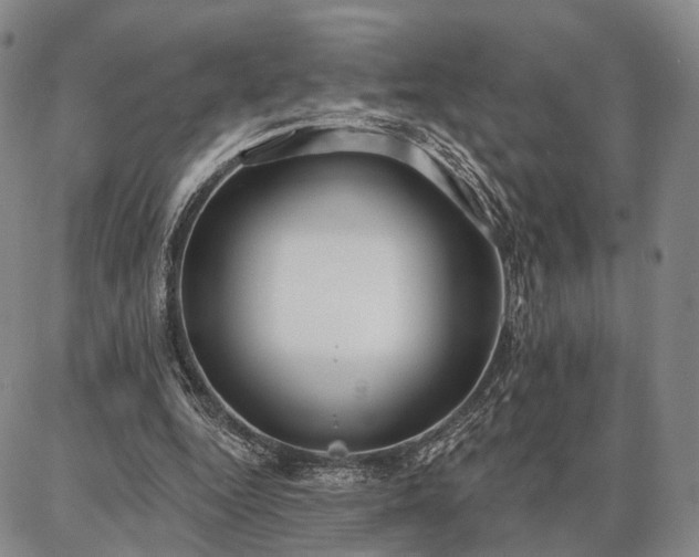 X0000086880344200704231108