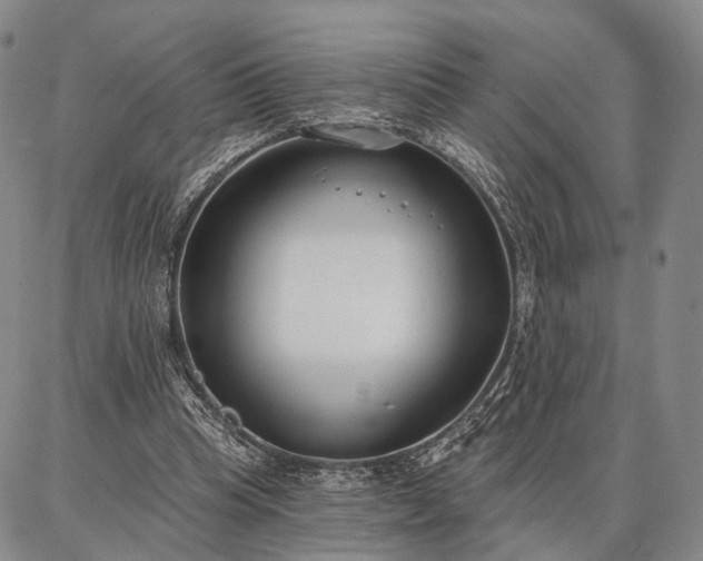 X0000086880345200704231108