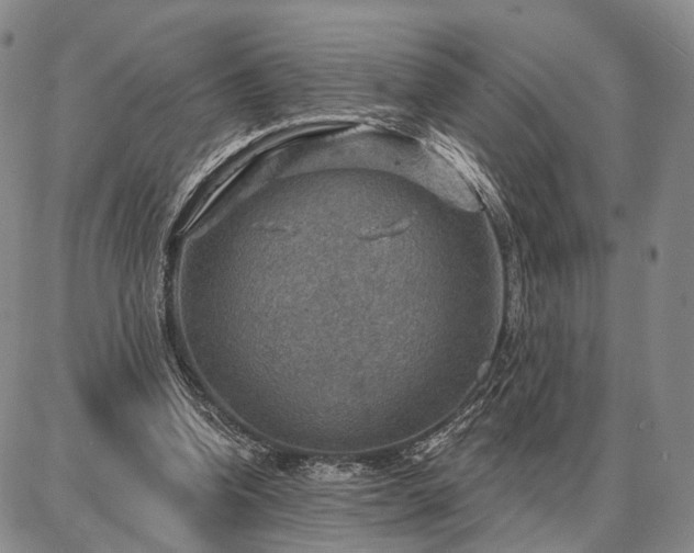 X0000086880346200704231108