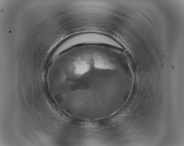 X0000086880347200704231108