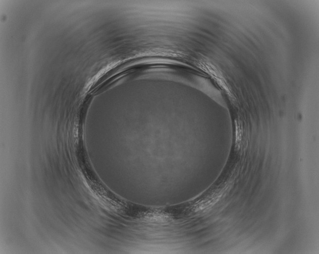 X0000086880348200704231108