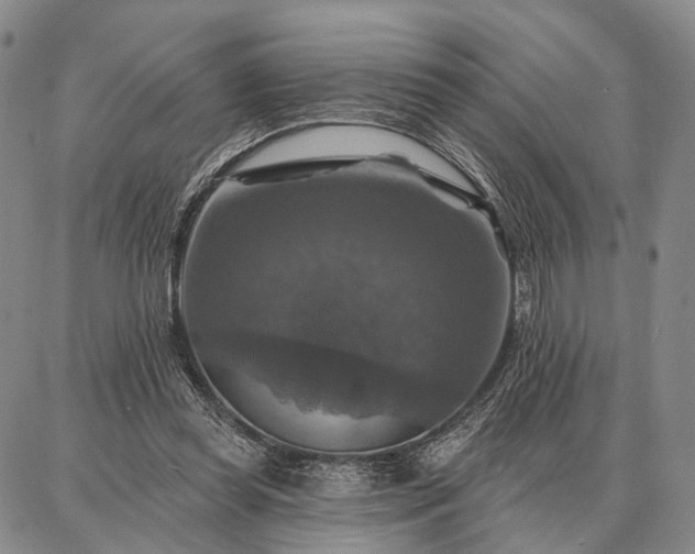 X0000086880349200704231108