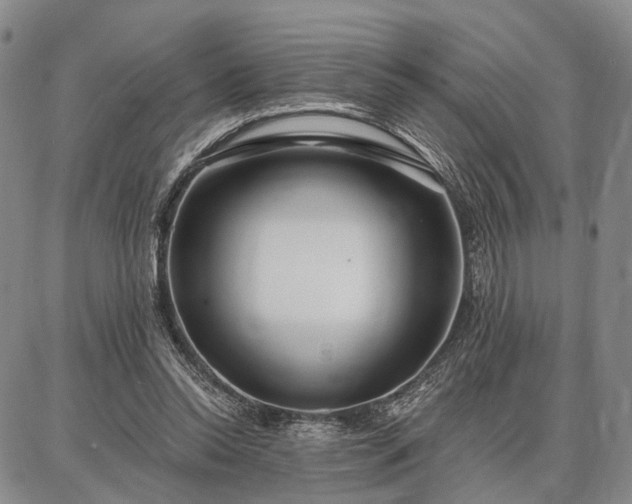 X0000086880350200704231108