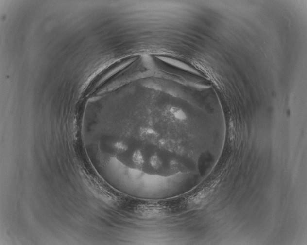 X0000086880351200704231108