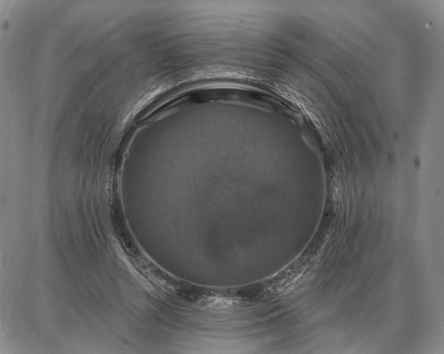 X0000086880352200704231108