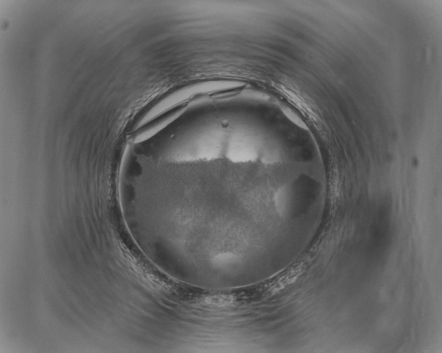 X0000086880353200704231108