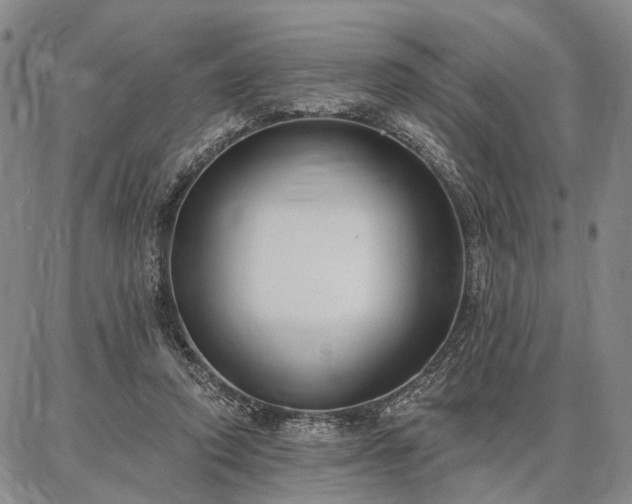 X0000086880354200704231108