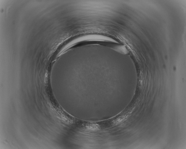 X0000086880355200704231108