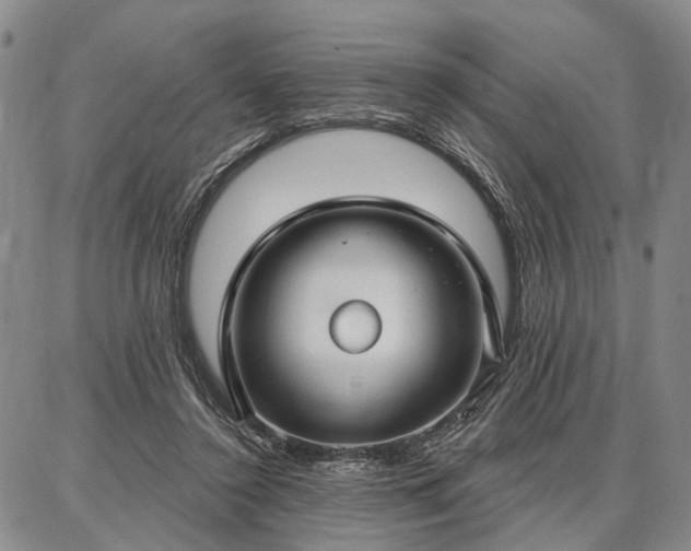 X0000086880356200704231109