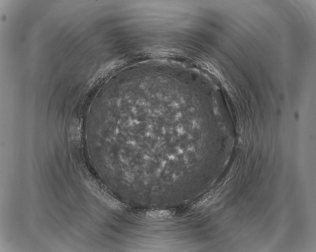 X0000086880357200704231109