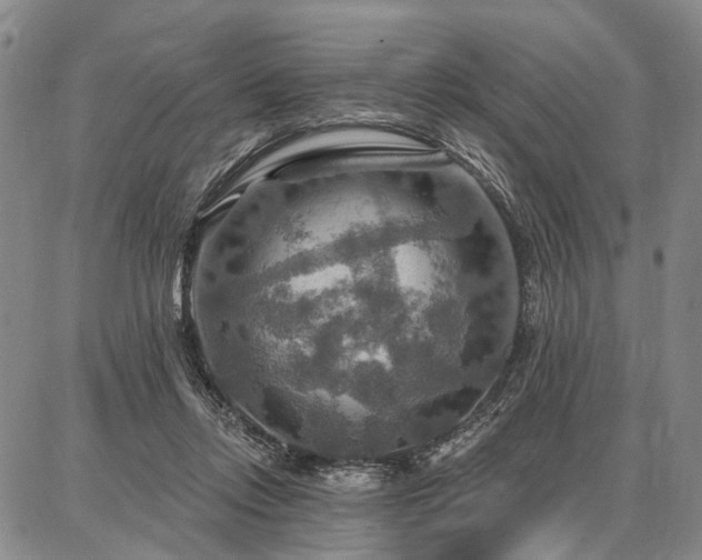 X0000086880358200704231109