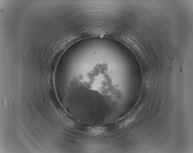 X0000086880359200704231109