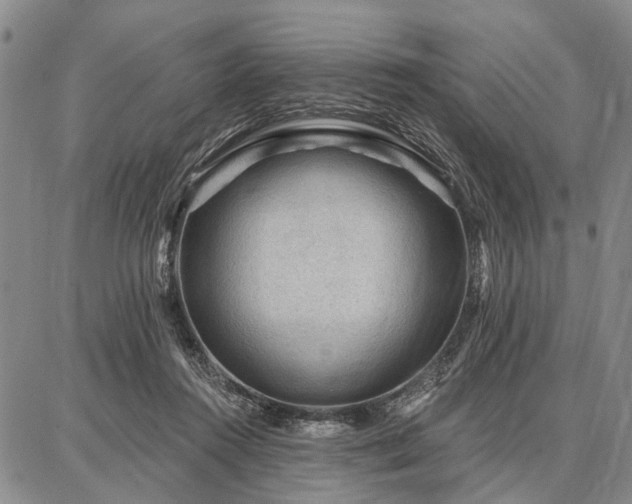 X0000086880360200704231109