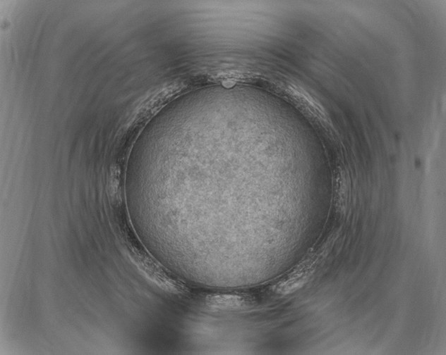 X0000086880361200704231109