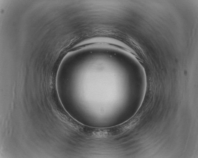 X0000086880362200704231109