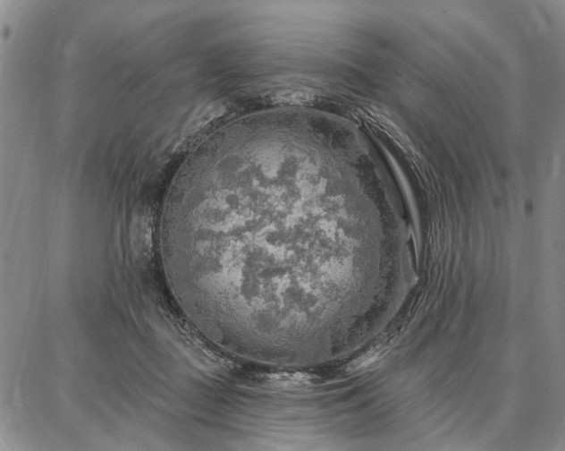 X0000086880363200704231109