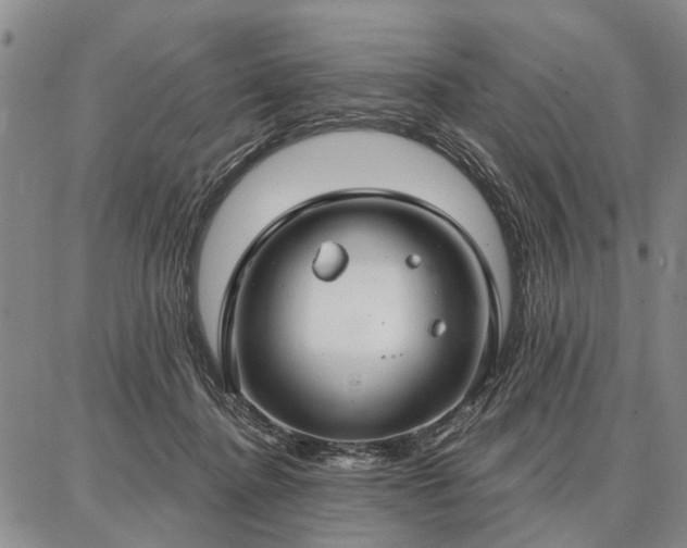 X0000086880364200704231109